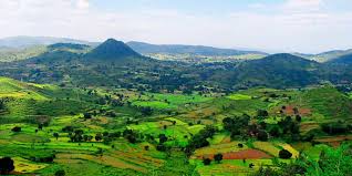 ತಂಪಾದ ಗಾಳಿ ಬೀಸುವ ದಕ್ಷಿಣ‌ ಭಾರತದ  ʼಕೂಲ್‌ʼ ತಾಣಗಳು!