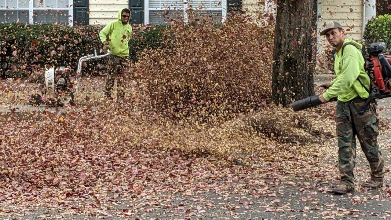 ತರಗೆಲೆ ತೆಗೆಯಲು ತಂತ್ರಜ್ಞಾನ
