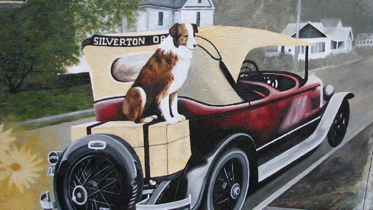 ಬಾಬ್ಬಿ – ದಿ ವಂಡರ್ ಡಾಗ್