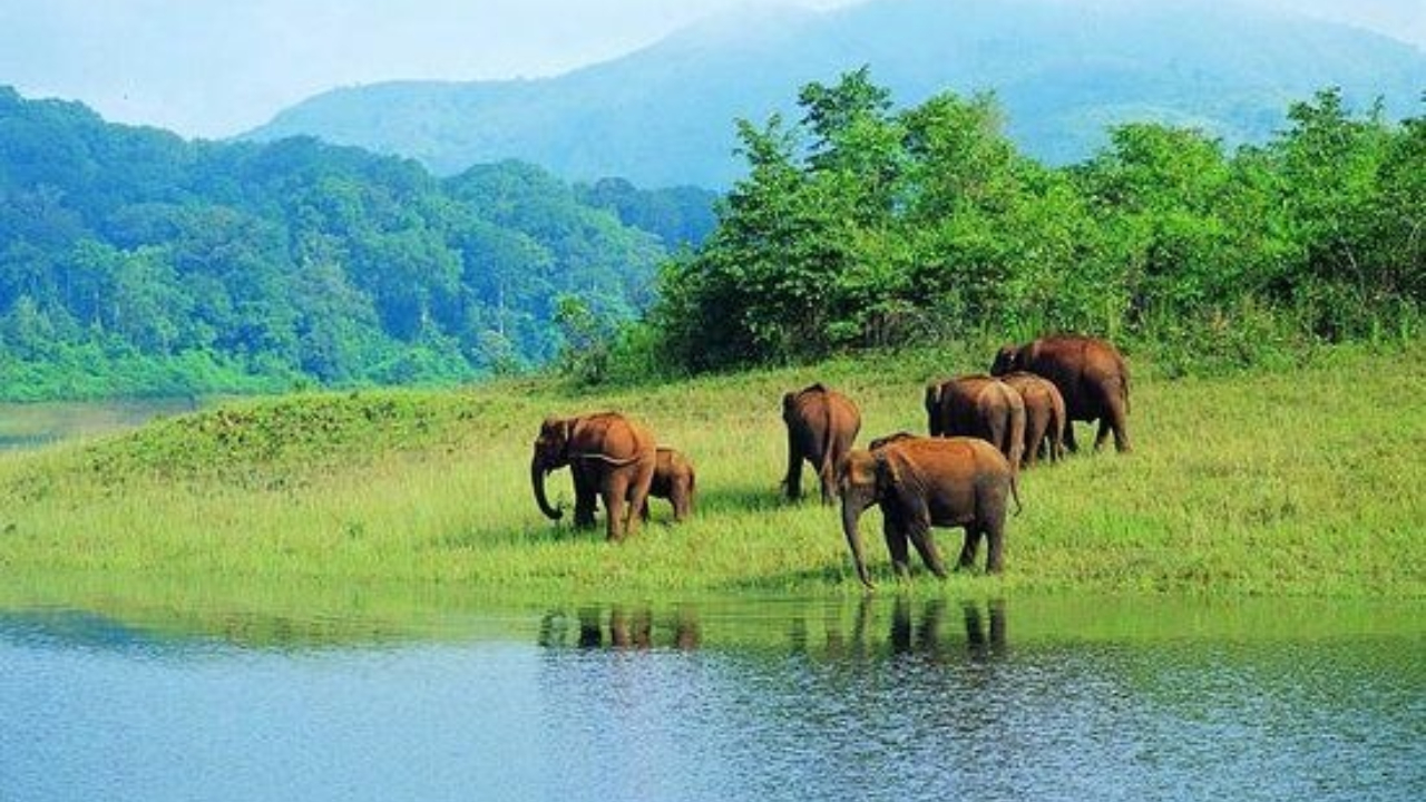 ದೇವರ ನಾಡಿನಲ್ಲಿ ಕೆಎಸ್‌ಟಿಡಿಸಿ ಅಂಬಾರಿ….
