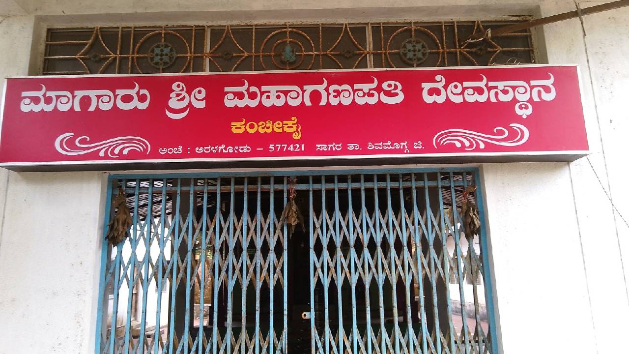 ಅರಣ್ಯದ ಮೌನದಲ್ಲಿ ಅರಳಿದ ದೈವತ್ವ!