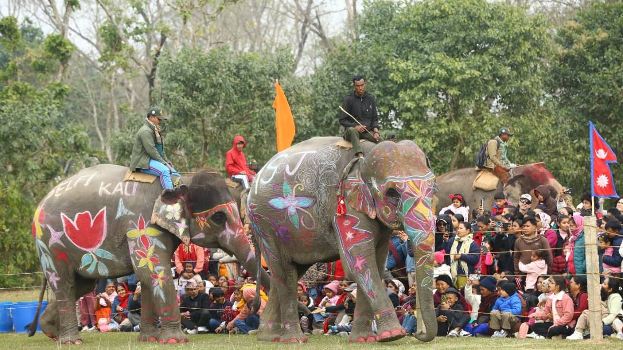 ನೇಪಾಳದಲ್ಲಿ 19ನೇ ಚಿತ್ವಾನ್ ಆನೆ ಮತ್ತು ಪ್ರವಾಸೋದ್ಯಮ ಹಬ್ಬ ಯಶಸ್ವಿ ಮುಕ್ತಾಯ