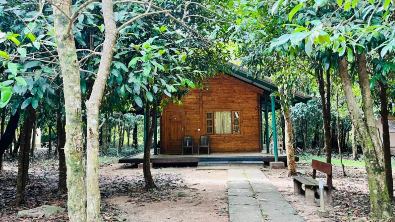 ಕುದುರೆ ಮುಖದ ಮೇಲೇರಿ!