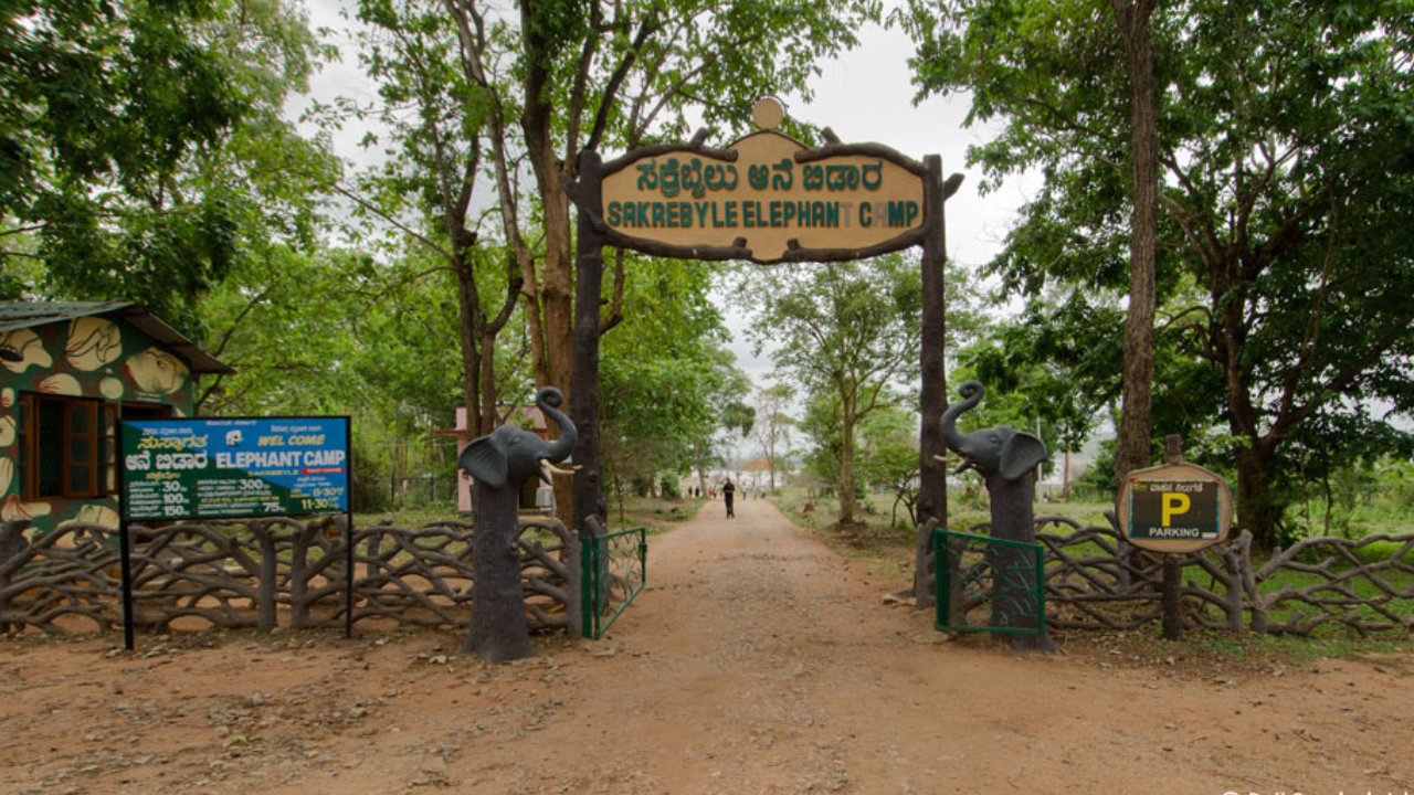 ಆನೆ ಬಂತೊಂದಾನೆ..
