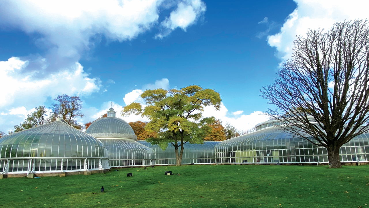 ಆ ಕಿಬ್ಬಲ್ ಪ್ಯಾಲೇಸ್ ಈ ಗಾಜಿನ ಮನೆಗೆ ಸ್ಫೂರ್ತಿ!