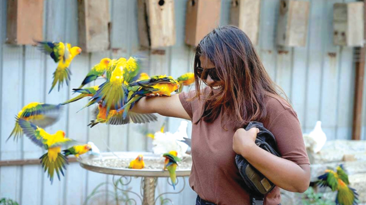 ಹಕ್ಕಿ ಹಾರುತಿದೆ ನೋಡಿದಿರಾ…