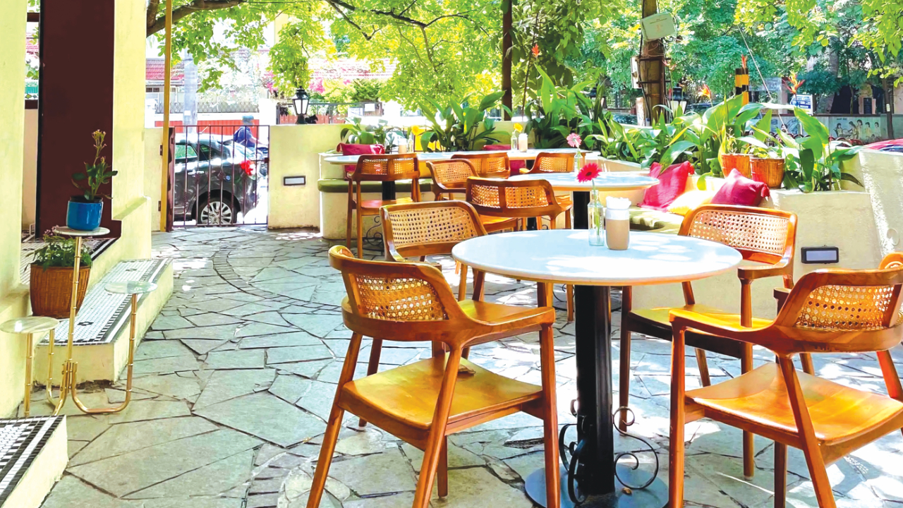 ಮರಗಳ ನೆರಳಲ್ಲಿ ಬಿಸಿ ಕಾಫಿ ಜತೆ ಹರಟೆಗೆ ಜೂನಿ ಬೆಸ್ಟ್‌