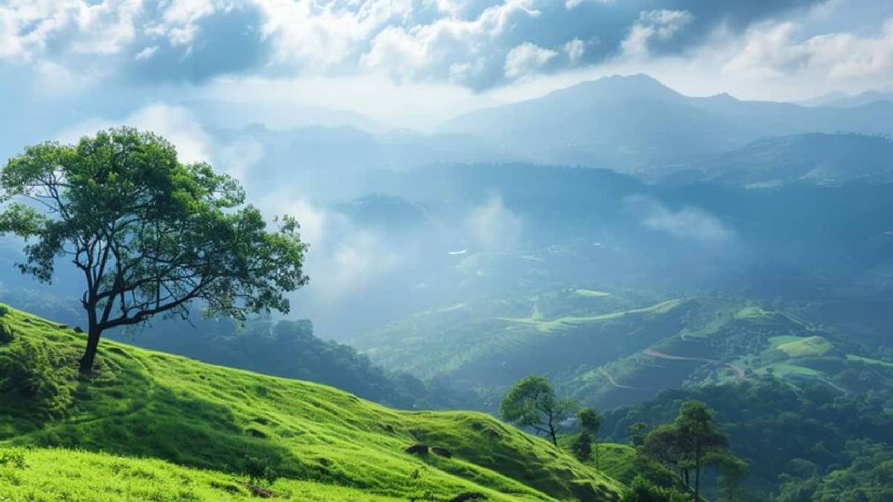 ಟೂರಲ್ಲಿ ಓವರಾಗಿ ಆಡೋದು - ಓವರ್ ಟೂರಿಸಂ