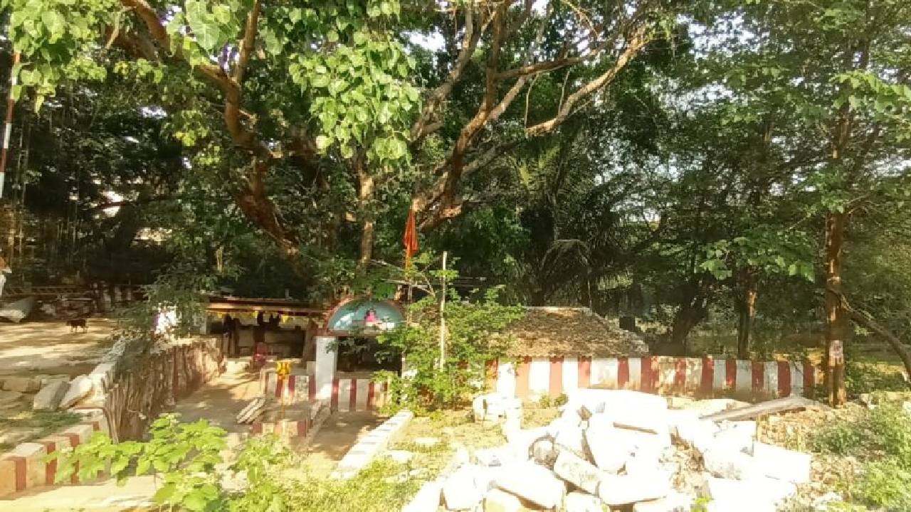 ರೈಲ್ವೆ ಕಂಟೋನ್ಮೆಂಟ್‌ ಕಾಲೊನಿ ವೃಕ್ಷ ಪ್ರದೇಶ ಈಗ ಜೀವವೈವಿಧ್ಯ ಪಾರಂಪರಿಕ ತಾಣ !