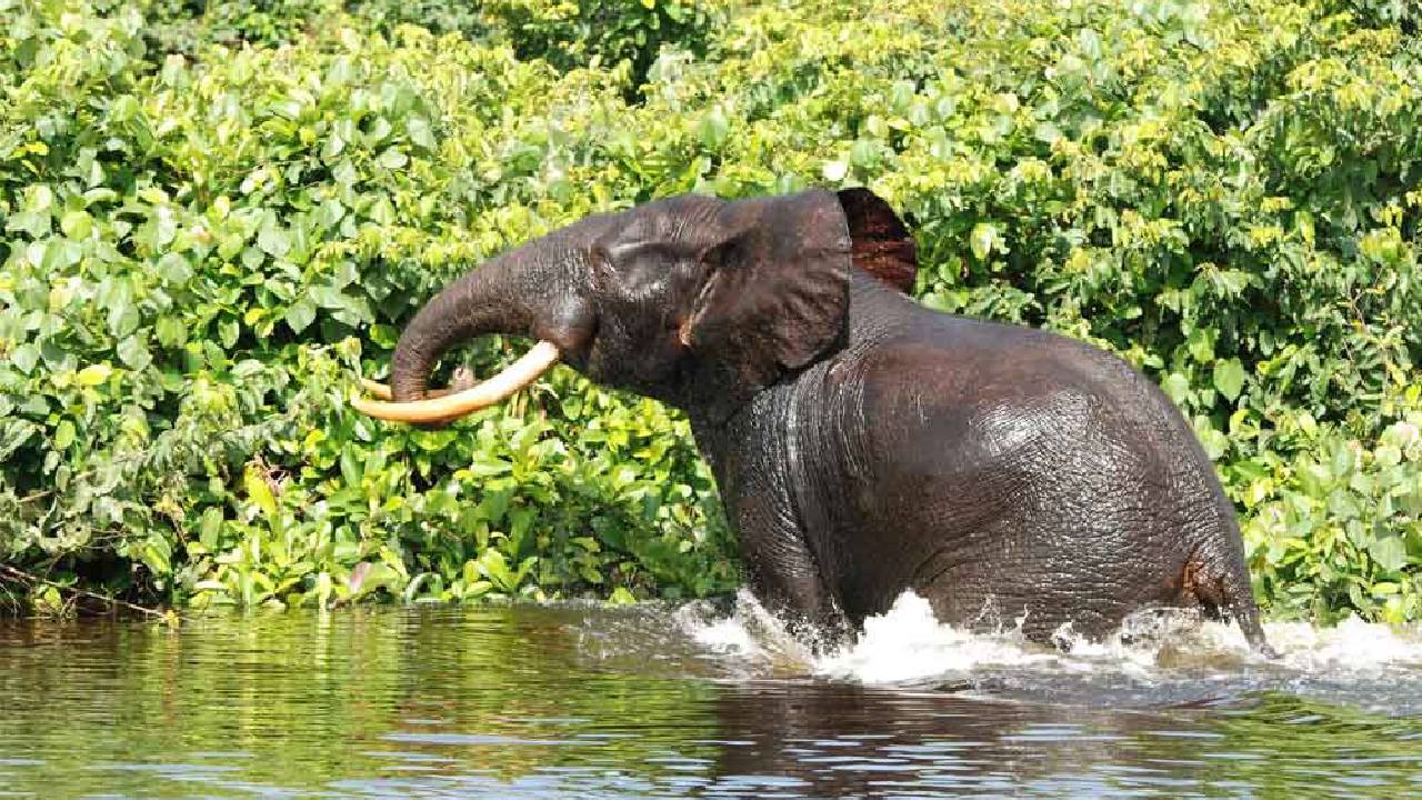 ಅಡೆತಡೆಗಳ ಕುರಿತು ಕೋರ್ಟ್‌ಗೆ ಶೀಘ್ರದಲ್ಲೇ ವರದಿ