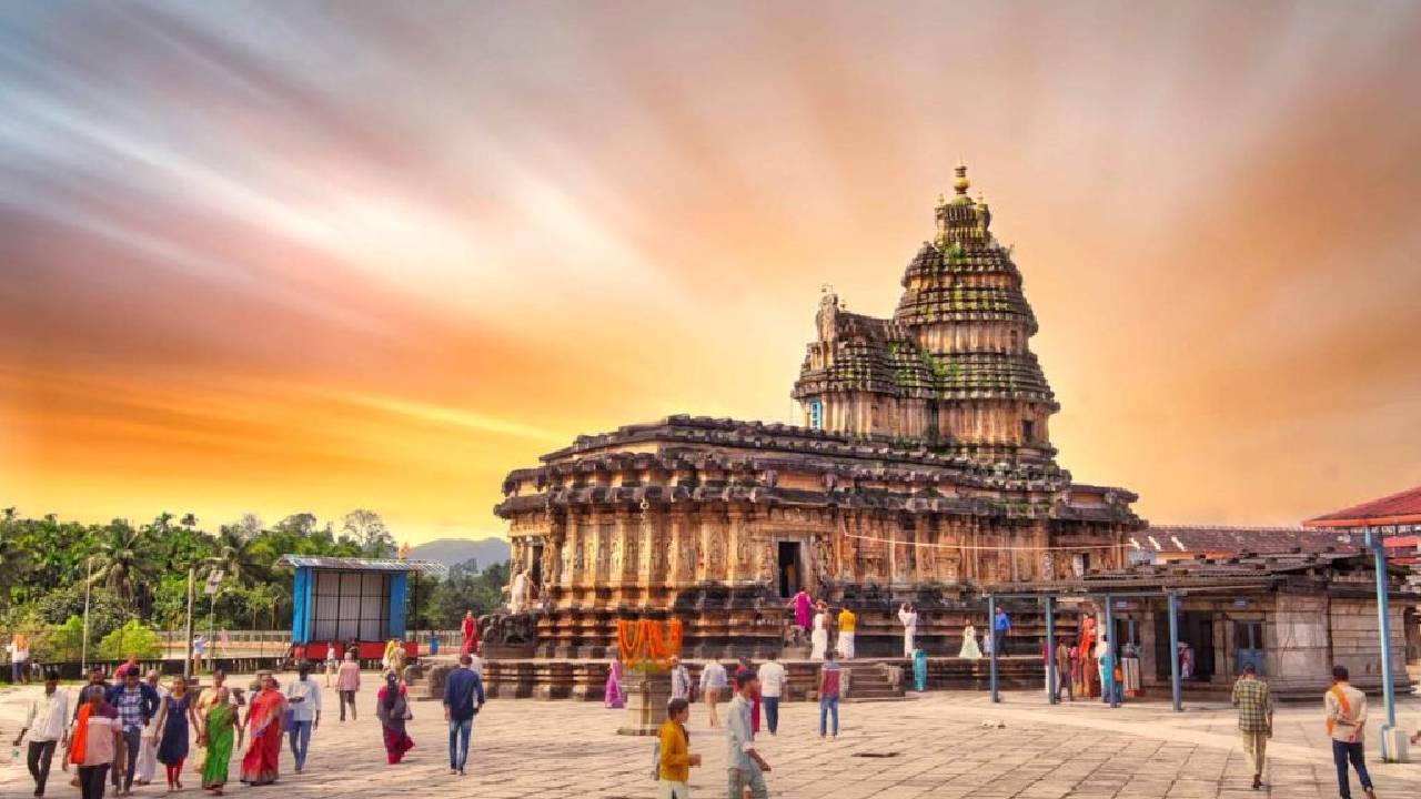 ವಿದ್ಯಾದೇವಿಯ ವೈವಿಧ್ಯ ನೆಲೆಗಳು...