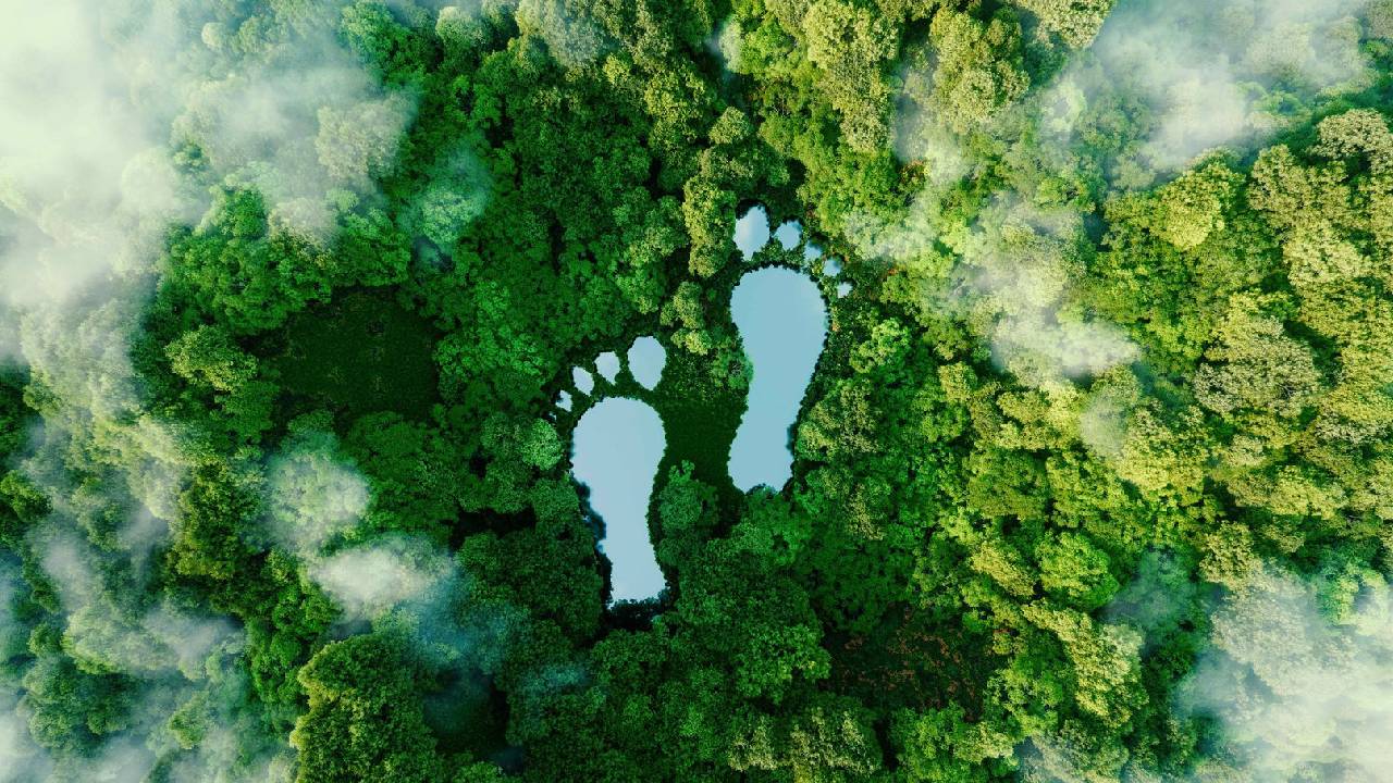 ಪ್ರವಾಸಿತಾಣವನ್ನು ಸುಧಾರಿಸಲು ಆಗದಿದ್ದರೆ ಪರವಾಗಿಲ್ಲ, ಹಾಳುಗೆಡವಬೇಡಿ!