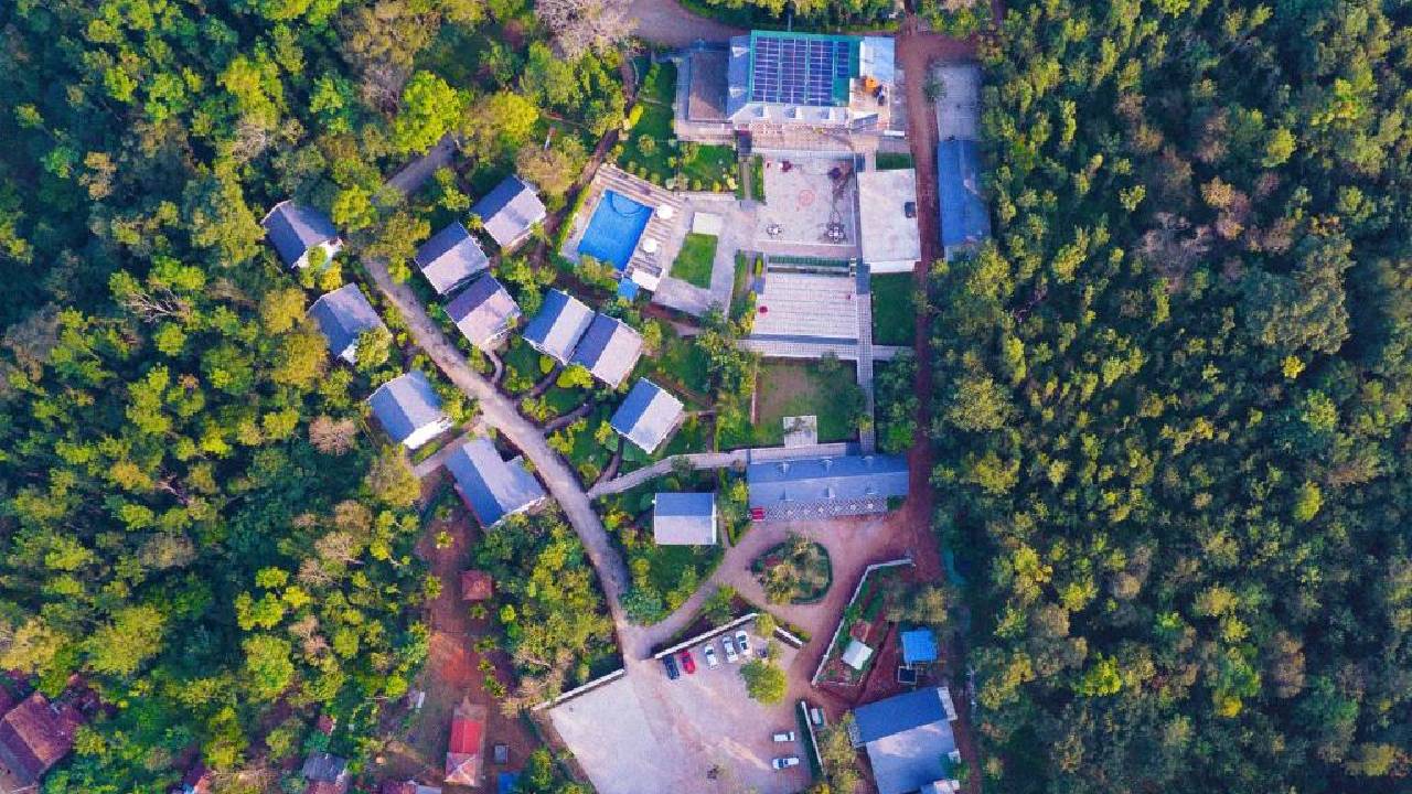 ಬ್ಲಾಸಮ್ ಇದು AWESOME !