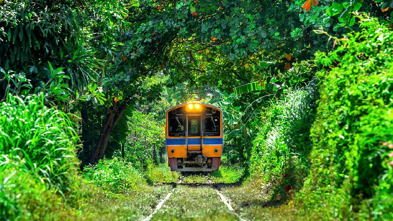 ಉತ್ತರ ಪ್ರದೇಶದಲ್ಲಿ ‘ವಿಸ್ಟಾಡೋಮ್ ಟ್ರೇನ್ ಸಫಾರಿ’