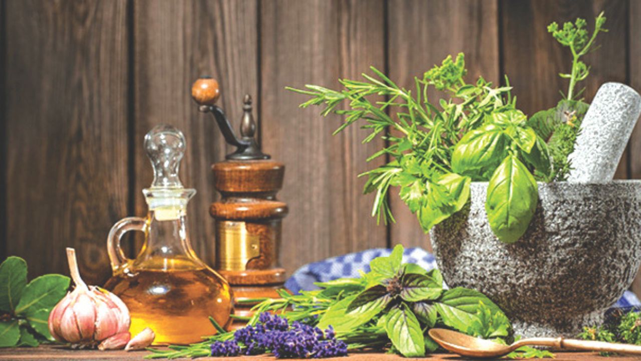 ಹೀಲ್ ಇನ್ ಇಂಡಿಯಾ: ಜಾಗತಿಕ ವೈದ್ಯಕೀಯ ನಕ್ಷೆಯಲ್ಲಿ ಹೊಸ ಮೈಲಿಗಲ್ಲು