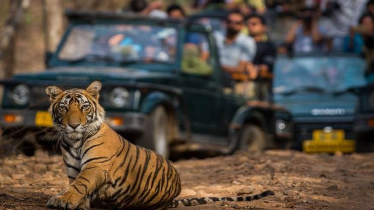 ಇನ್ನಾದರೂ ಸರಕಾರಗಳಿಗೆ ಪ್ರವಾಸೋದ್ಯಮ ಆದ್ಯತಾ ಕ್ಷೇತ್ರವಾಗಲಿ!