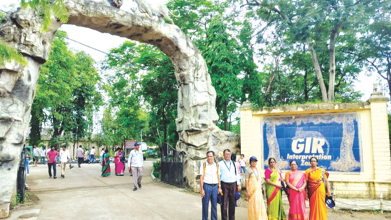 ಗಿರ್‌ನ ಸಿಂಹ ಸಫಾರಿಯಲ್ಲಿ ಗೊರೂರು