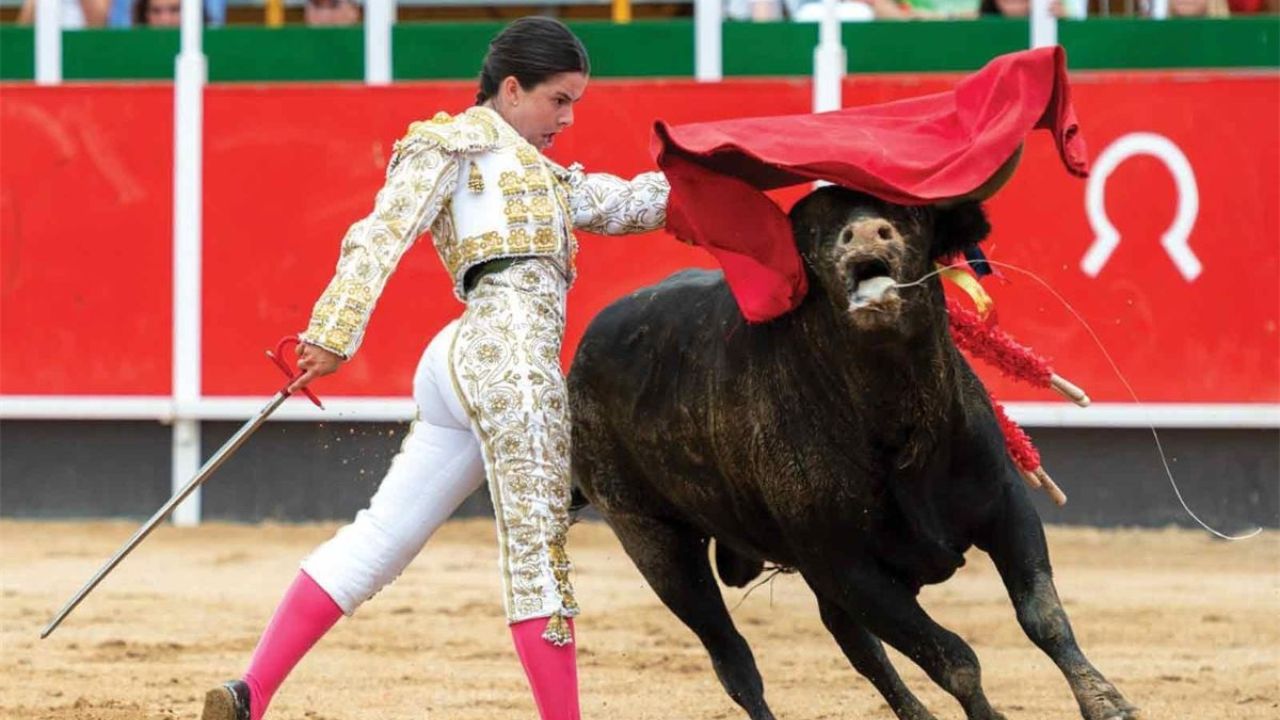 ಗೂಳಿ ಕಾಳಗ ಪುರಾಣ ಹೇಳುವೆ ಕೇಳಿ !