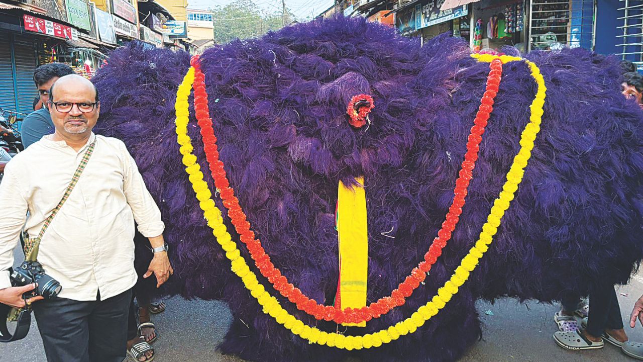 ಅಂಕೋಲೆಯ ವಿಶಿಷ್ಟ ಕರಡಿ ವೇಷ, ಹಗರಣ, ಸುಗ್ಗಿ ಮತ್ತು ಹೋಳಿ