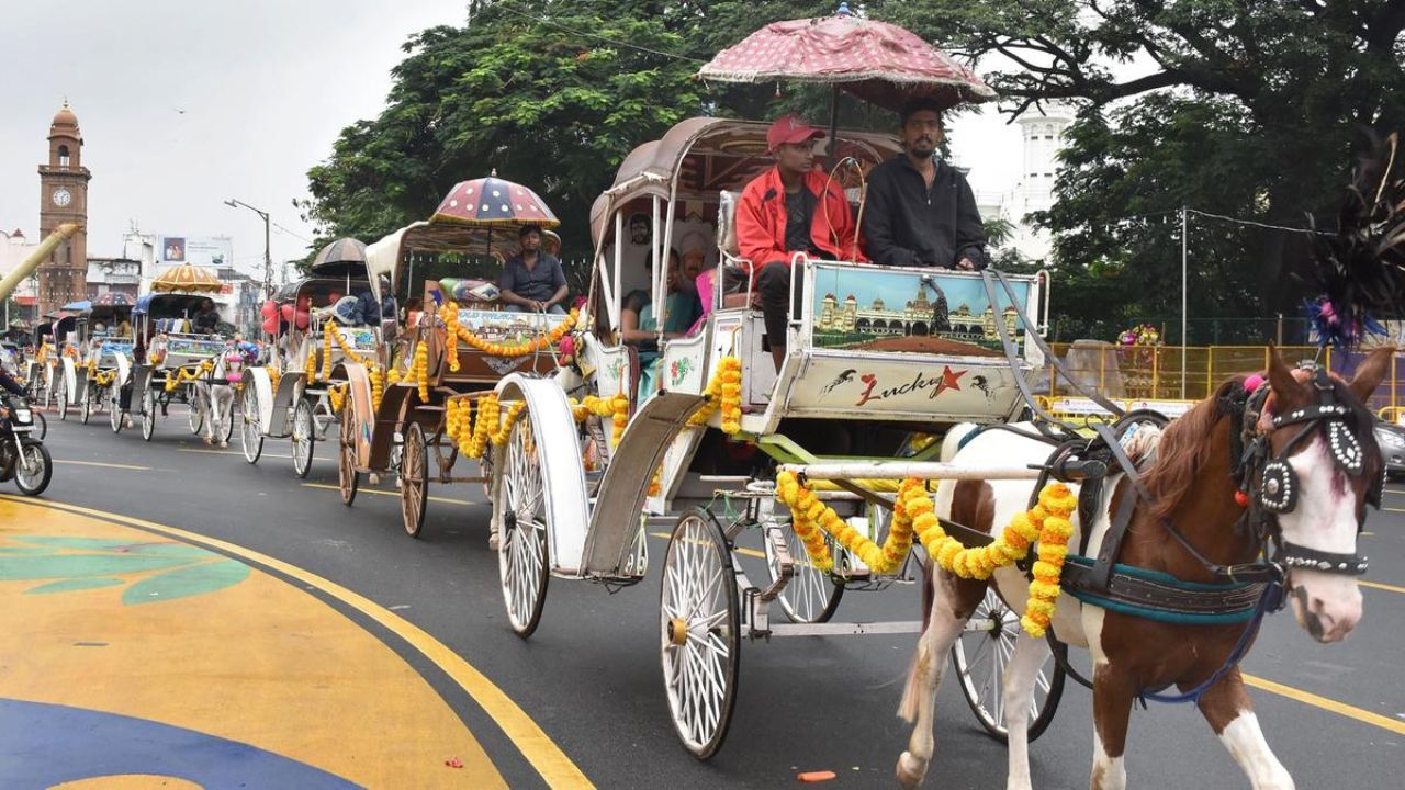 ಮೈಸೂರು ಟಾಂಗಾ ಸ್ವಾಗತಿಸುವ ಹೊತ್ತು