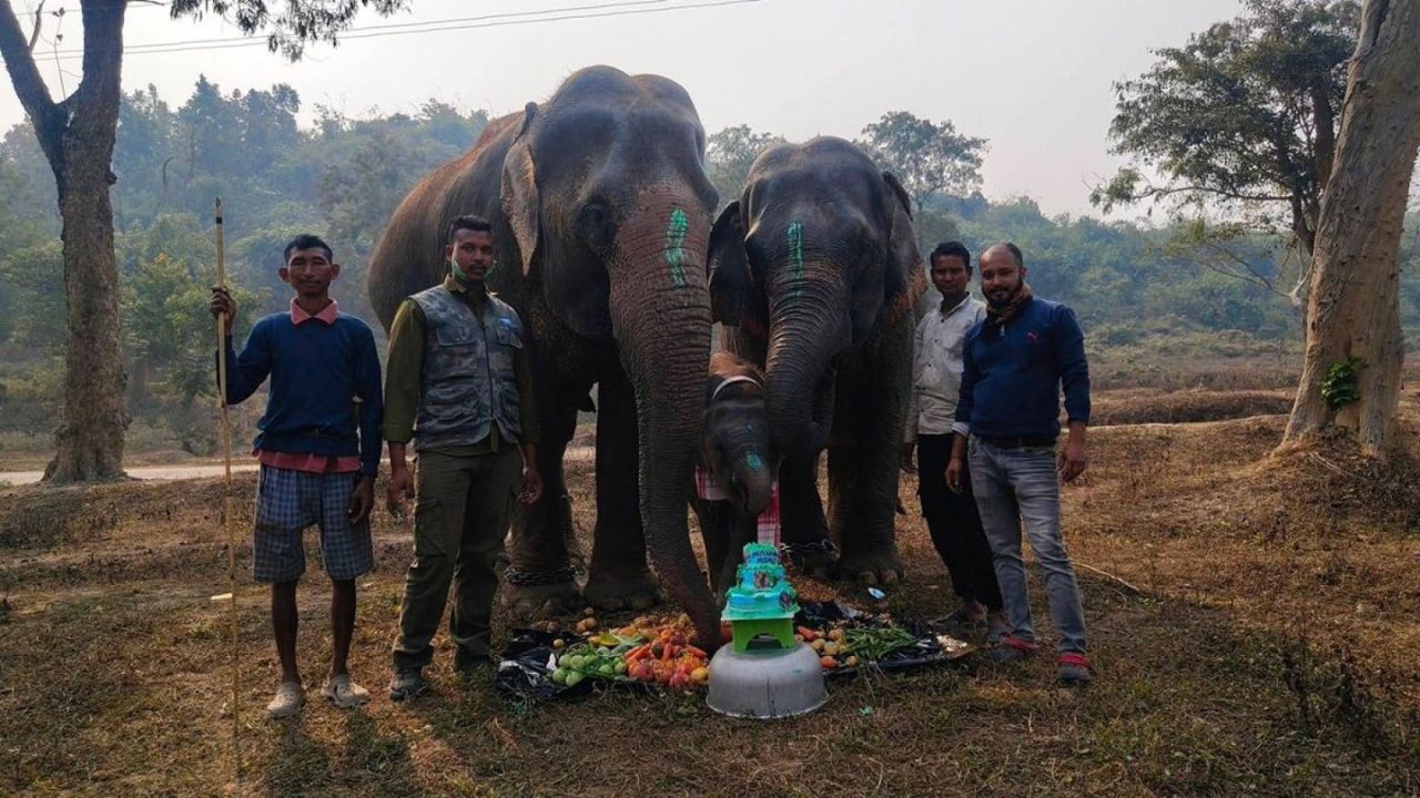 ಕಾಜಿರಂಗದಲ್ಲಿ ಪ್ರಿಯಾಂಶಿಯ ಮೊದಲ ಹುಟ್ಟುಹಬ್ಬ