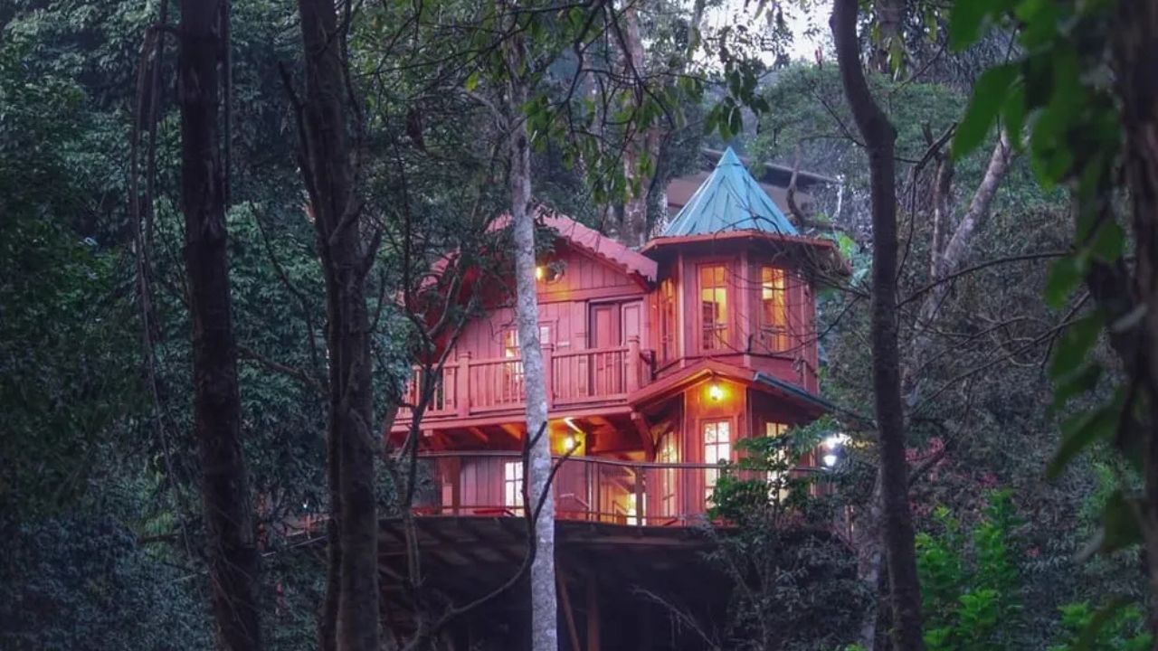 ಕಾಡು ಮತ್ತು ಪ್ರಪಾತದ ಸನಿಹದಲ್ಲೊಂದು