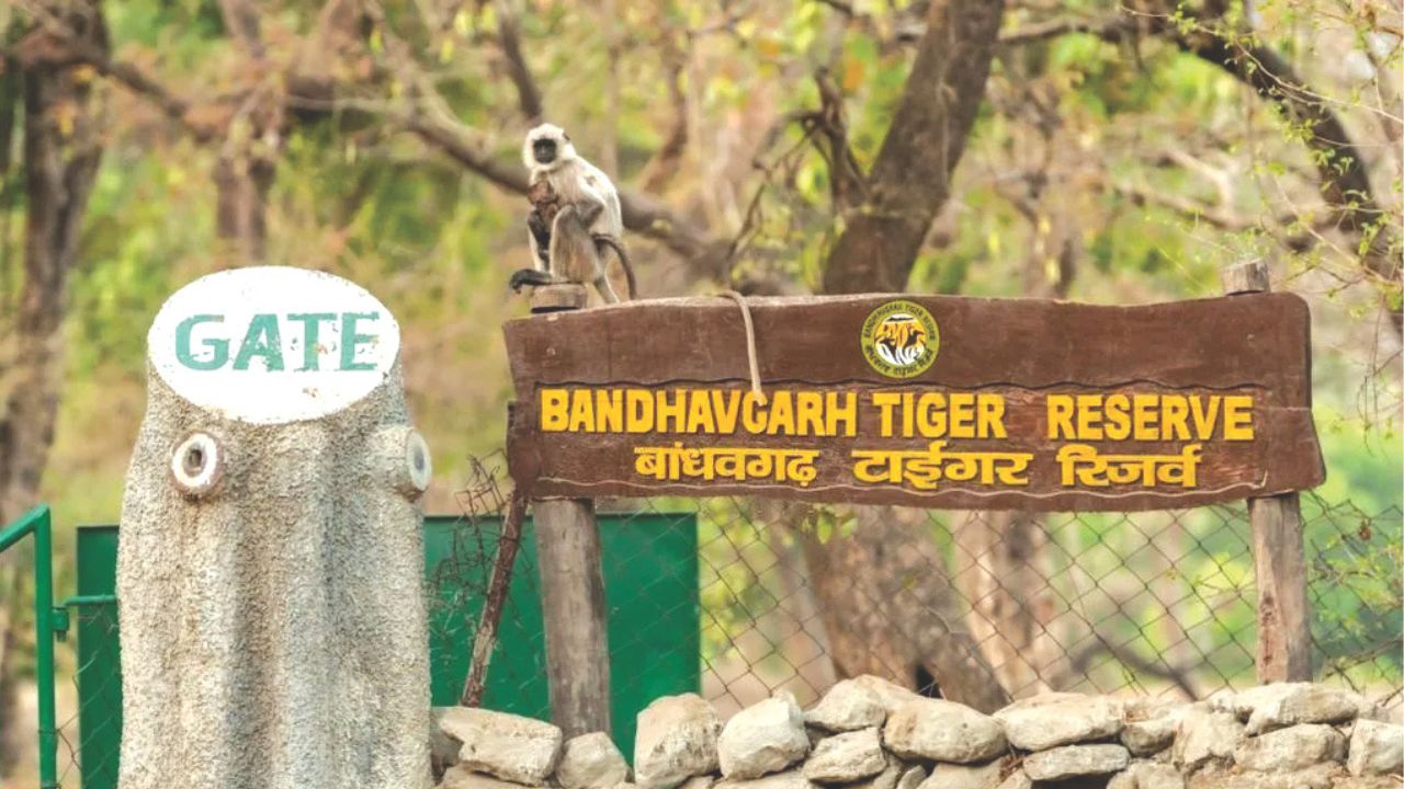 ಬಾಂಧವಗಢ ಹುಲಿ ಸಂರಕ್ಷಿತ ಪ್ರದೇಶಕ್ಕೆ ಪ್ರಶಸ್ತಿಯ ಗರಿ