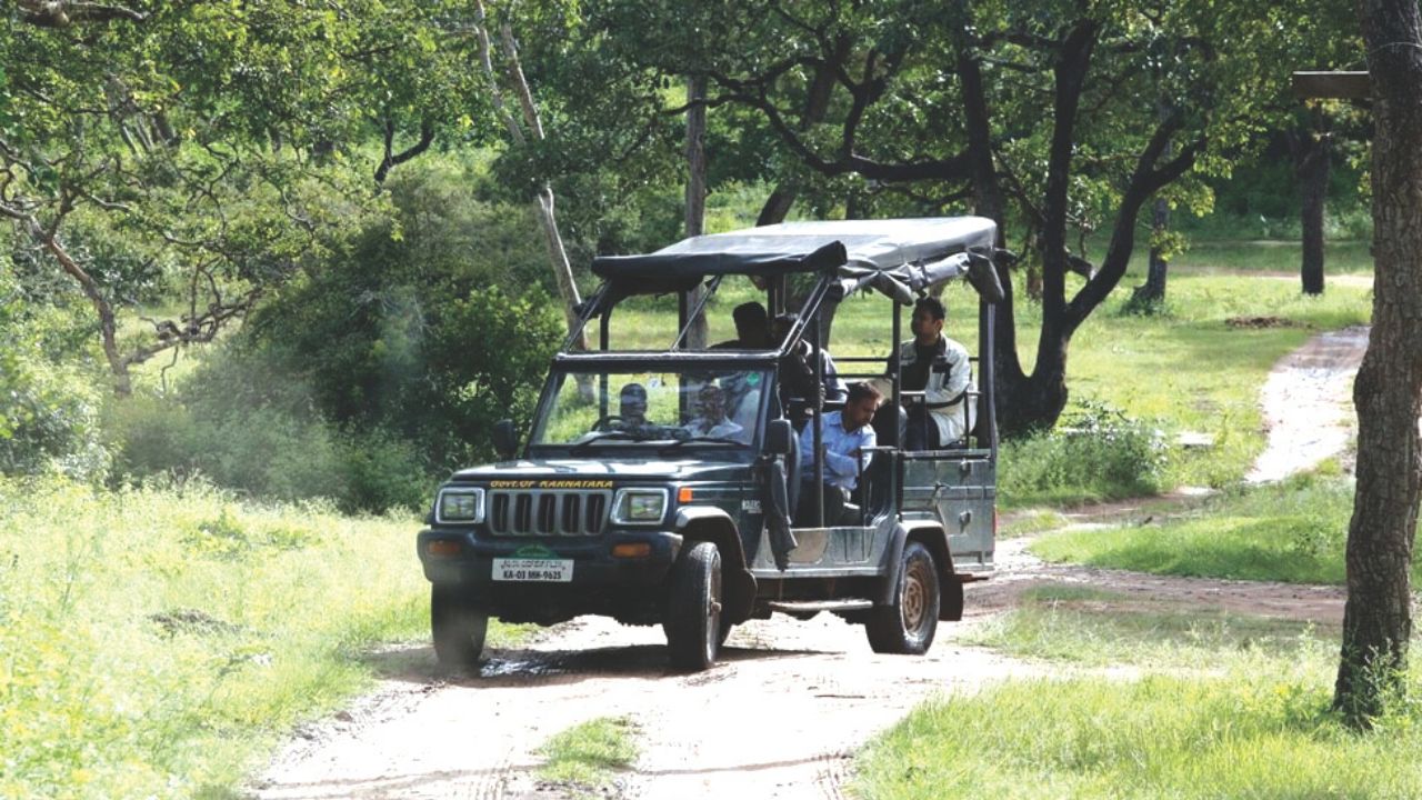 ರಾಜ್ಯದಲ್ಲಿ ಪೂರ್ಣಪ್ರಮಾಣದ ಸಫಾರಿ