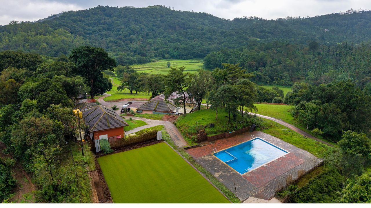 ಕಾಡು ನೋಡಲು ಹೋದವರು ಕವಿತೆಯೊಡನೆ ಬರದಿದ್ದರೆ?..