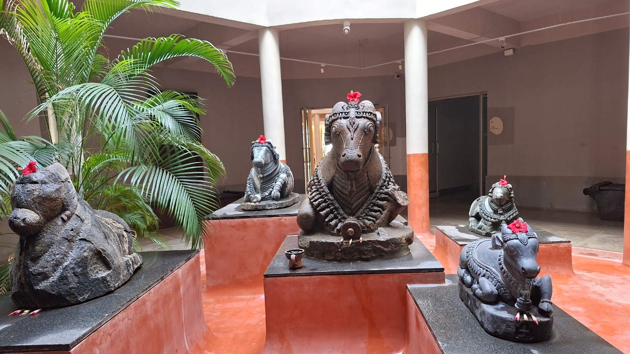 ಕುಶಲವೇ.. ಕ್ಷೇಮವೇ.. ಎನ್ನುತ್ತಾ ಕೈಬೀಸುವ ‘ಕ್ಷೇಮವನʼ