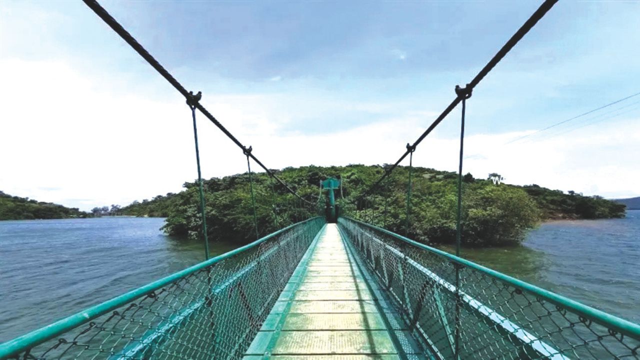 ಲಕ್ಕಹಳ್ಳಿಯಲ್ಲಿ ಹಕ್ಕಿಗಳ ಲಕಲಕ! ದಿ ರಿವರ್‌ ಟರ್ನ್‌ ಲಾಡ್ಜ್‌