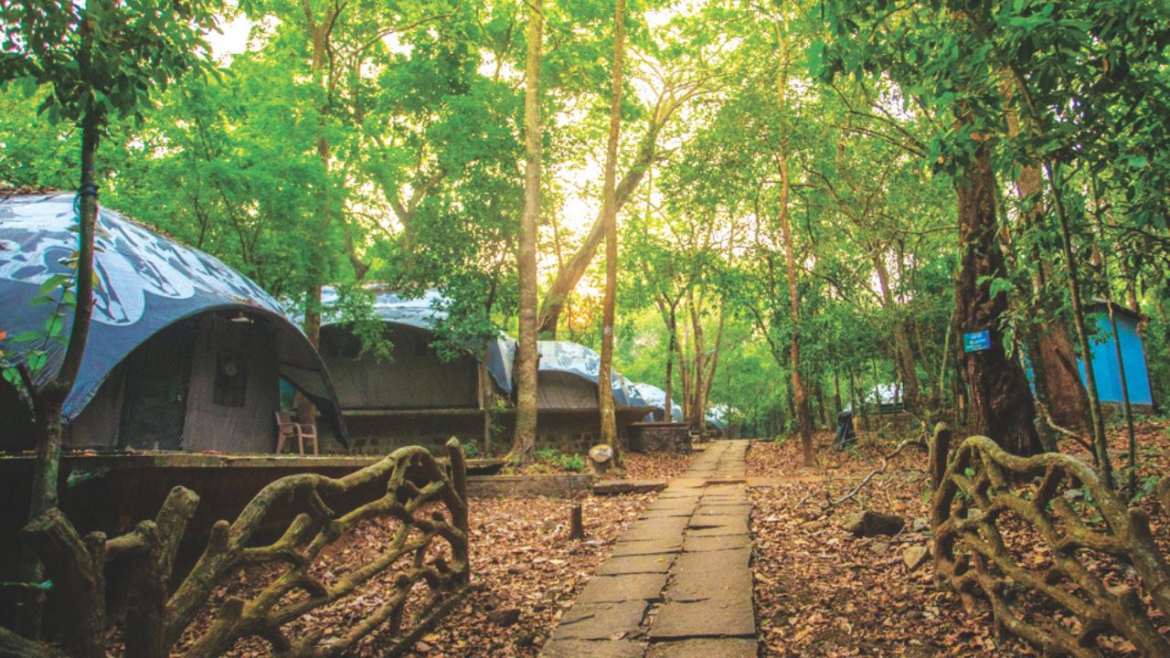 ಸೀತಾನದಿ ಪ್ರಕೃತಿ ಶಿಬಿರ