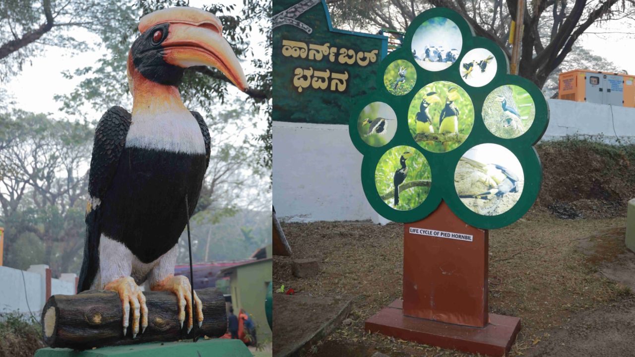 ಕಾಳಿ ತೀರದ ಪಕ್ಷಿ ಕಾಶಿಯ ಸಂಭ್ರಮ
