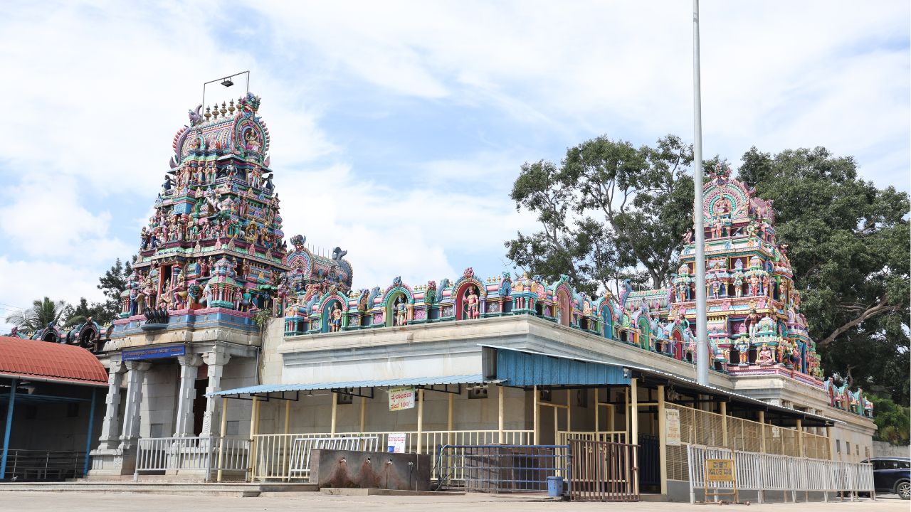 ನಂಬಿದವರ ಪಾಲಿನ ಕಲ್ಪತರು ..