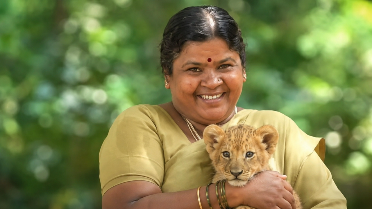 ವಿಶ್ವ ಸಿಂಹ ದಿನ