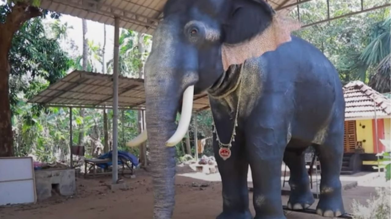 ಆನೆಗಳ ಸಂರಕ್ಷಣೆಯಲ್ಲಿ ಹೊಸ ಕ್ರಾಂತಿ