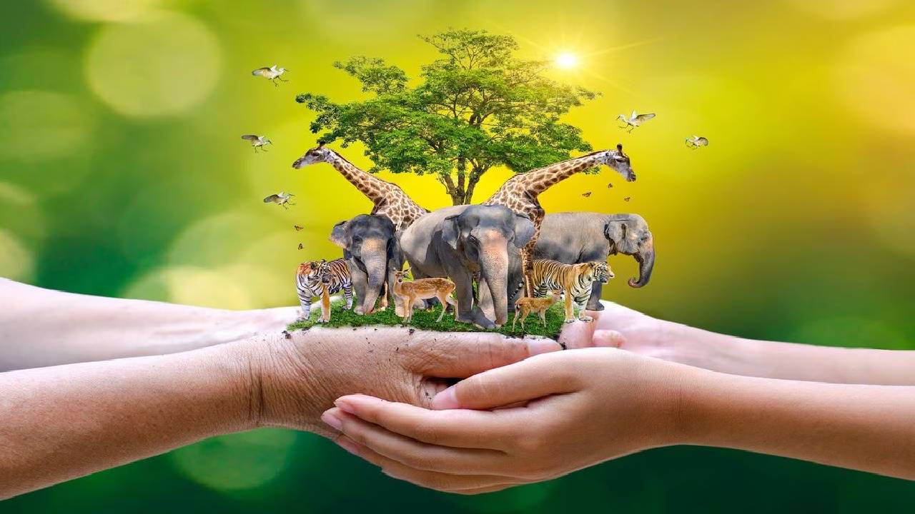 ವಿಶ್ವ ಪ್ರಾಣಿ ದಿನ... ಈ ಪ್ರಪಂಚ ಮನುಷ್ಯರಿಗಷ್ಟೇ ಅಲ್ಲ...