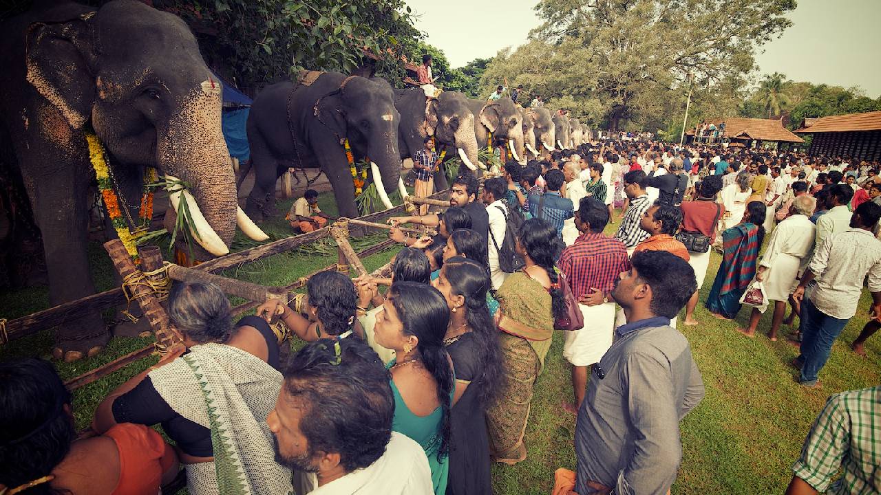 ಆನೆಗೆ  ಕೈತುತ್ತು ತಿನಿಸುವಿರಾ?