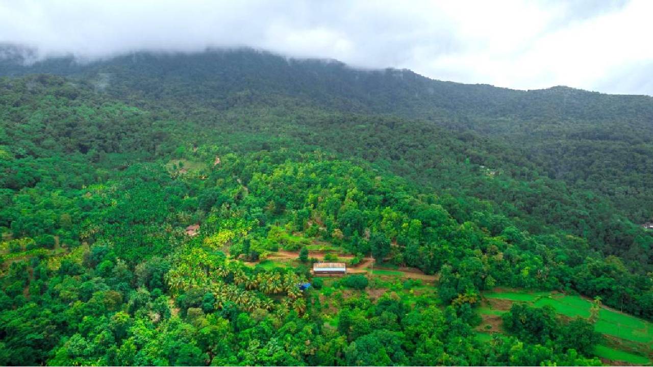 ಏರಿ ನೋಡು ದೊರೆಕಟ್ಟೆ... ಕೊಂಚ ಮೈಮರೆತರೆ ನೀ ಕೆಟ್ಟೆ!