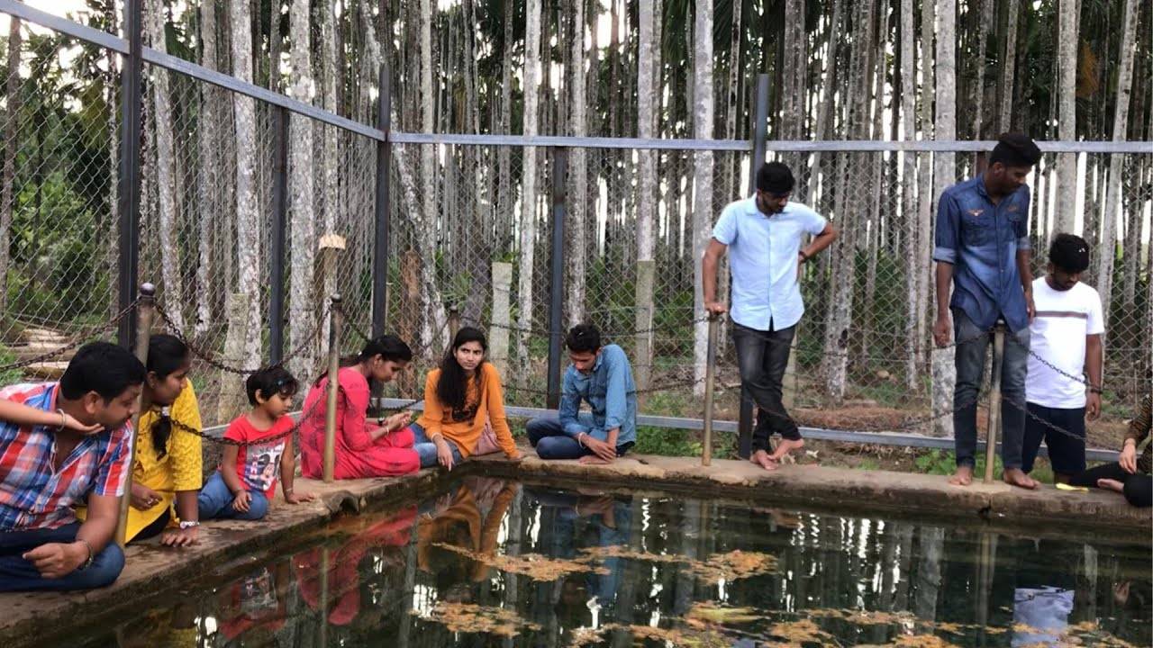 ಗುಳಿಗುಳಿ ಶಂಕರನ ಮಹಿಮೆ