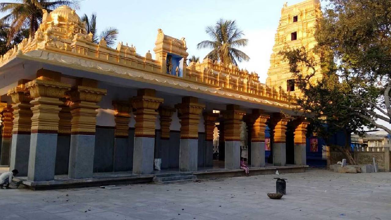 ಹಾಸನಾಂಬೆ ದರ್ಶನಕ್ಕೆ ಗೋಲ್ಡ್ ಕಾರ್ಡ್
