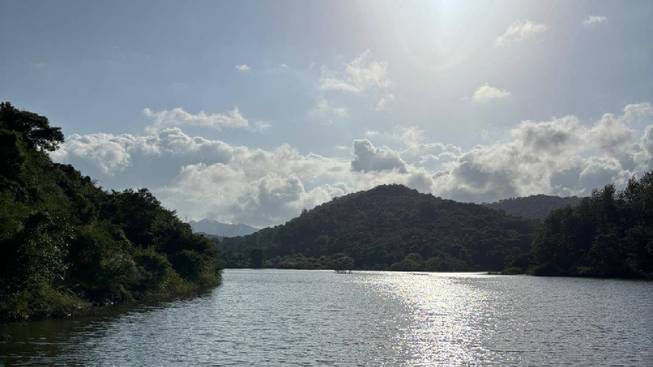 ಈ ಕೆರೆತೂಗಿನ ಮೇಲೆ ನಿಂತು ಒಮ್ಮೆ ಕೂಗಿ ನೋಡಿ..!