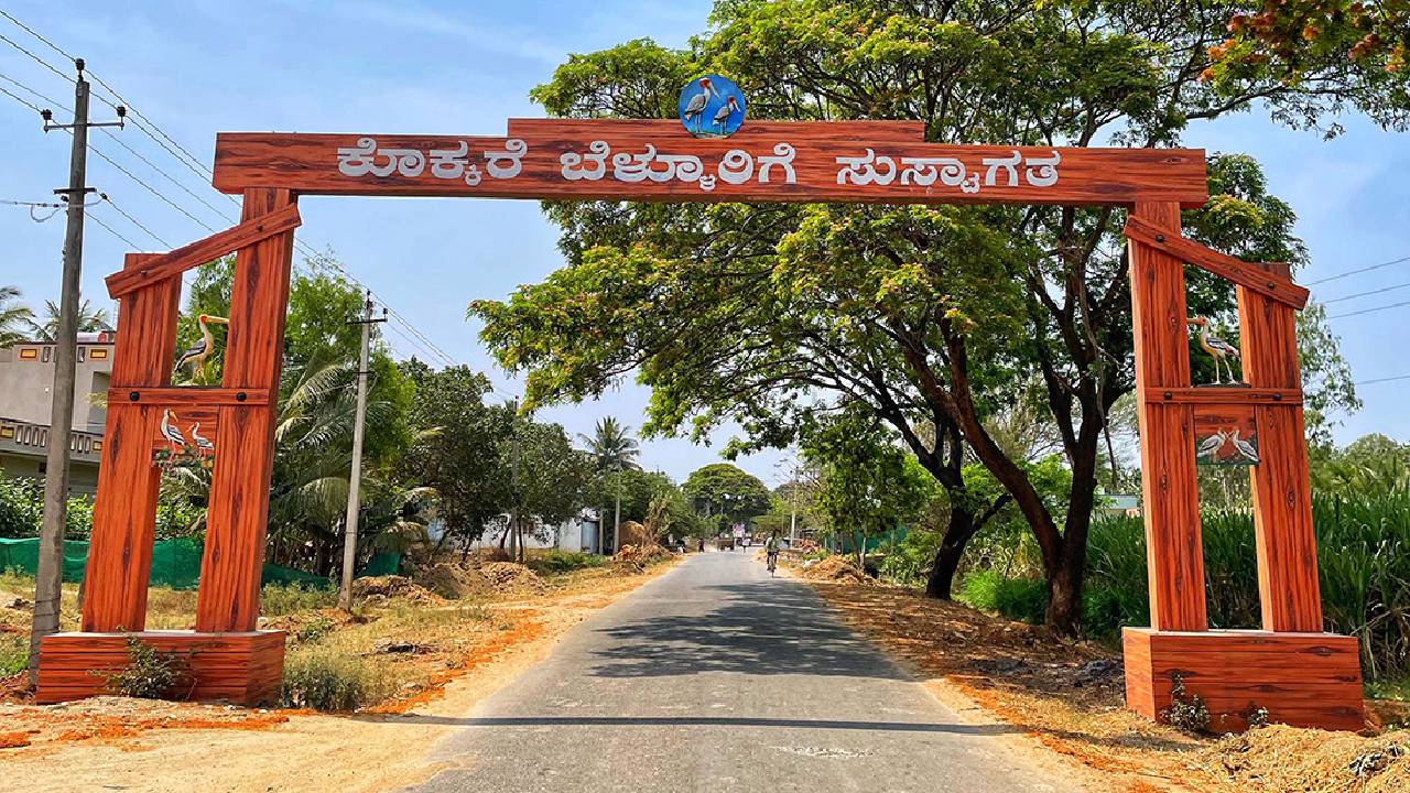 ಪ್ರವಾಸೋದ್ಯಮ ಕೇಂದ್ರವಾಗಲಿದೆ ಕೊಕ್ಕರೆ ಬೆಳ್ಳೂರು