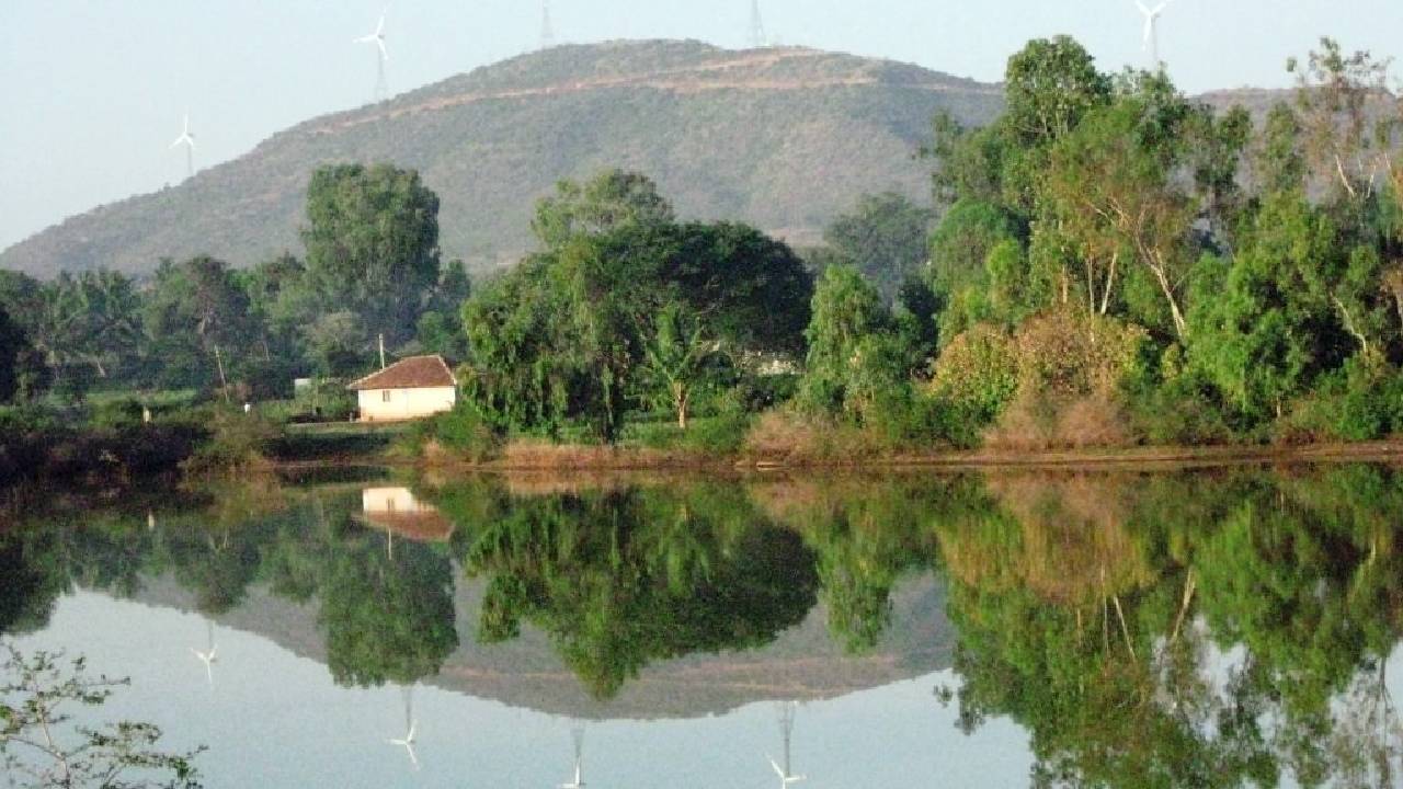 ಹಕ್ಕಿಗಳ ಹಕ್ಕಿನ ಜಾಗ.. ಕೊಂಡಜ್ಜಿ ಕೆರೆ