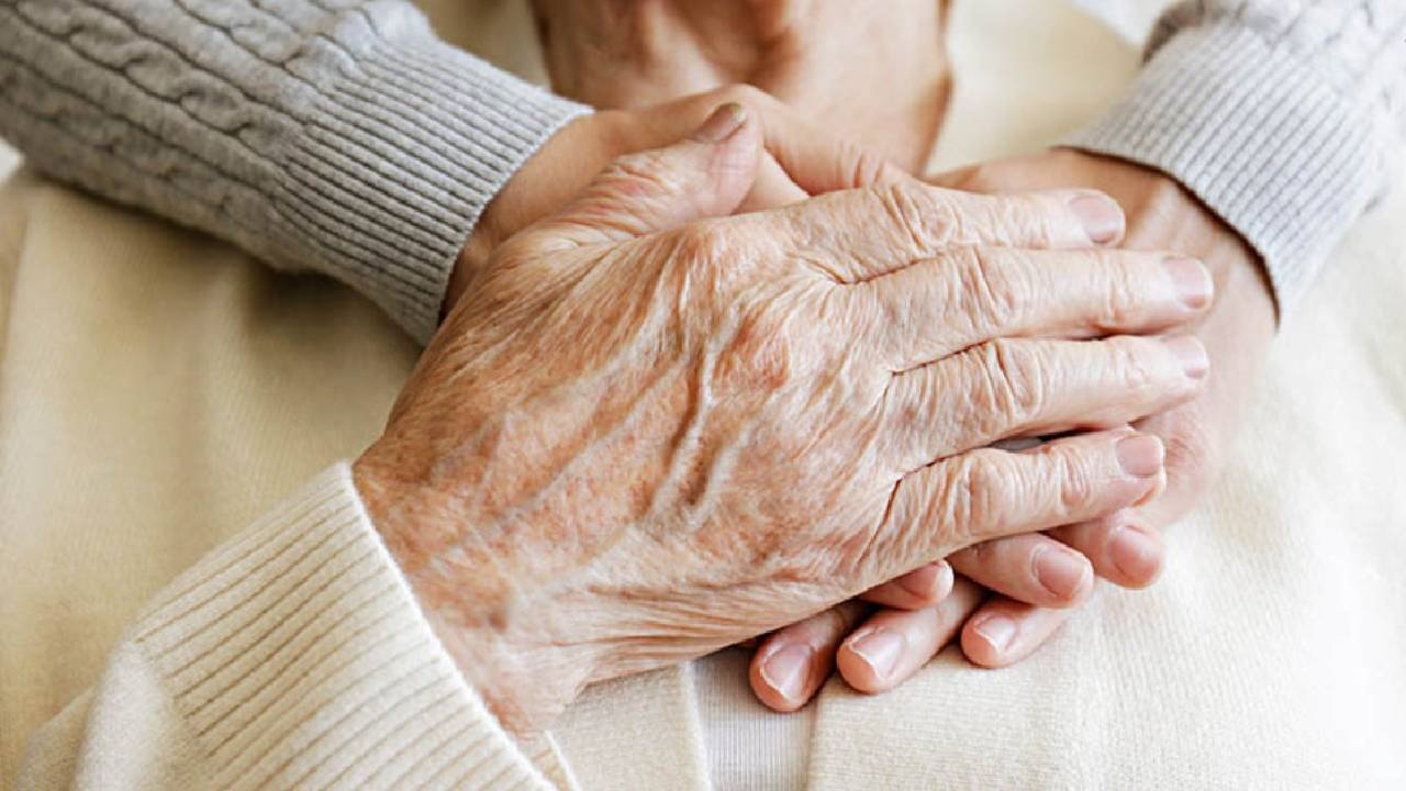 ಬದುಕಿನ ಸ್ಪಂದನೆ ಅರಿಯುವ ಪಯಣ...!