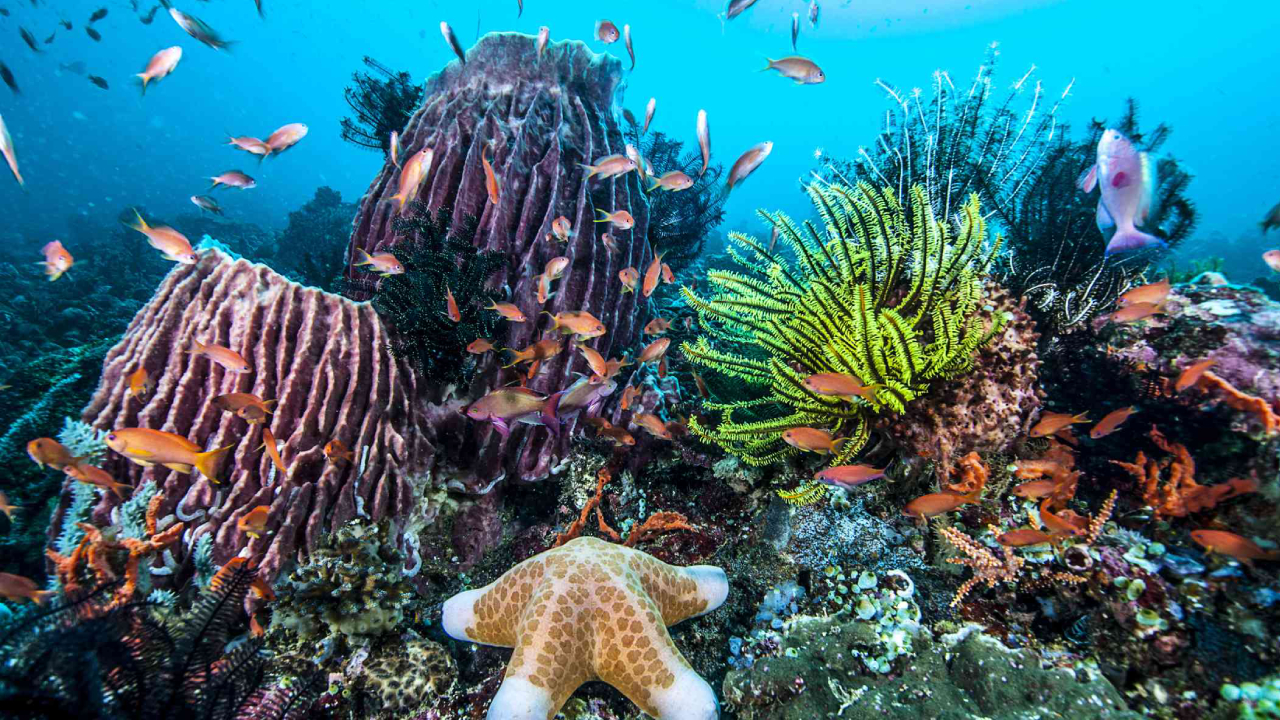 ಜಲಾಂತರ್ಗಾಮಿ ಪ್ರವಾಸಕ್ಕೆ ಮುಂದಾಗಿದೆ ಮಹಾರಾಷ್ಟ್ರ ಸರಕಾರ