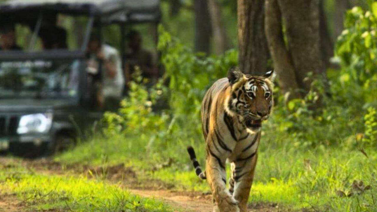 ಸರಕಾರ ಅರಣ್ಯ ಇಲಾಖೆ ವಿರುದ್ಧ ಆತಿಥ್ಯ ವಲಯದ ಅಸಮಾಧಾನ!
