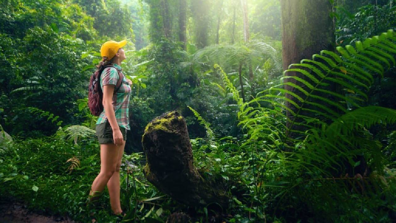 ಪ್ರವಾಸೋದ್ಯಮದ ಅತ್ಯುತ್ತಮ ಅಭ್ಯಾಸಗಳನ್ನು ಪ್ರವಾಸಿಗರಲ್ಲಿ ಬೆಳೆಸುವುದು ಹೇಗೆ?