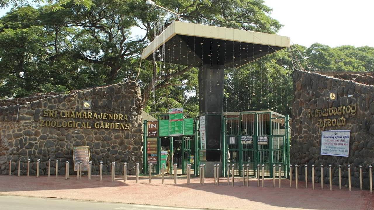 ಮೈಸೂರು ಮೃಗಾಲಯ ಪ್ರವೇಶ ಇನ್ನು ದುಬಾರಿ